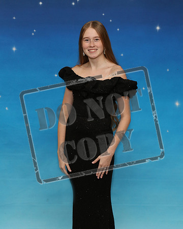 BRHS-0117-010
