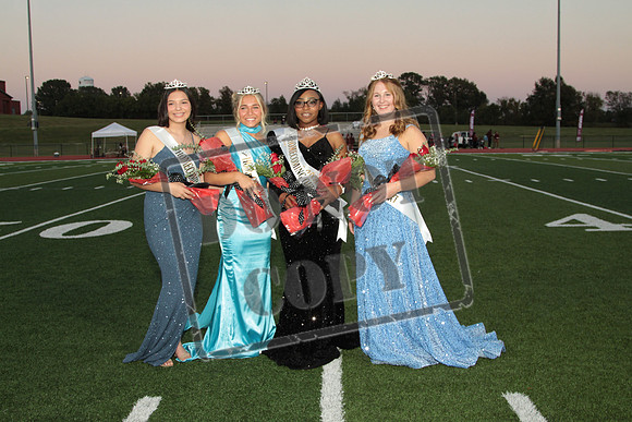 BRHS-1004-0238