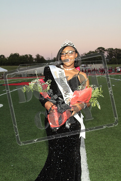 BRHS-1004-0233