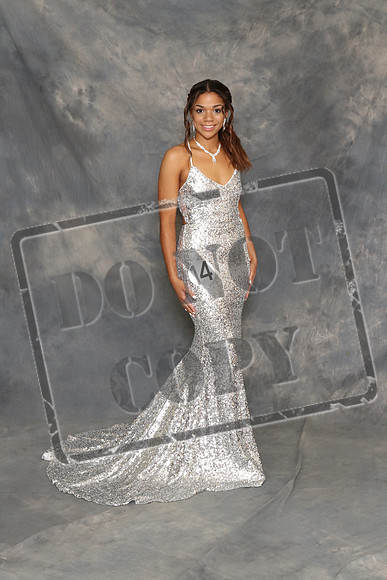 SSHS-1120-0031