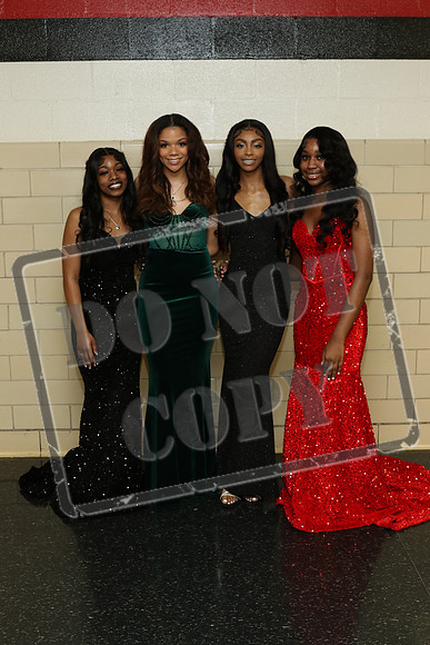 SSHS-0203-0020