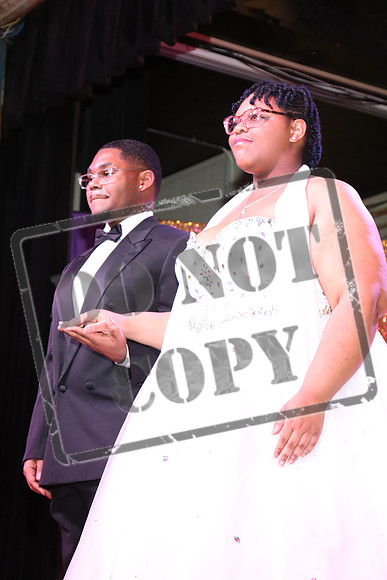 HPHS-0209-0126