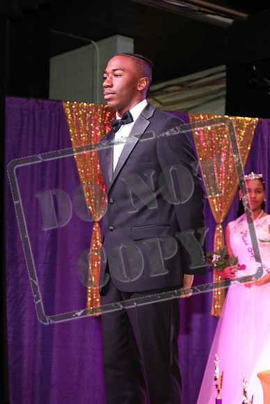 HPHS-0209-0135