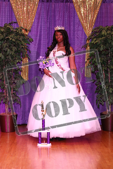 HPHS-0209-0206