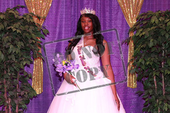 HPHS-0209-0210