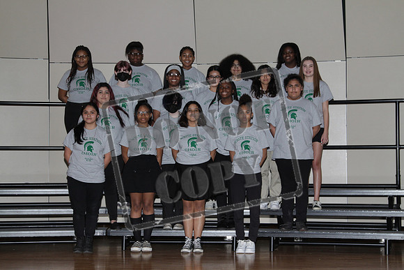 WSMS-0223-0052