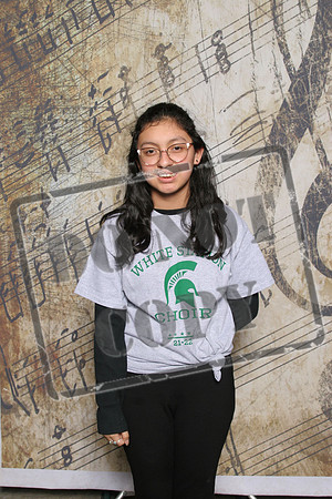 WSMS-0223-0381